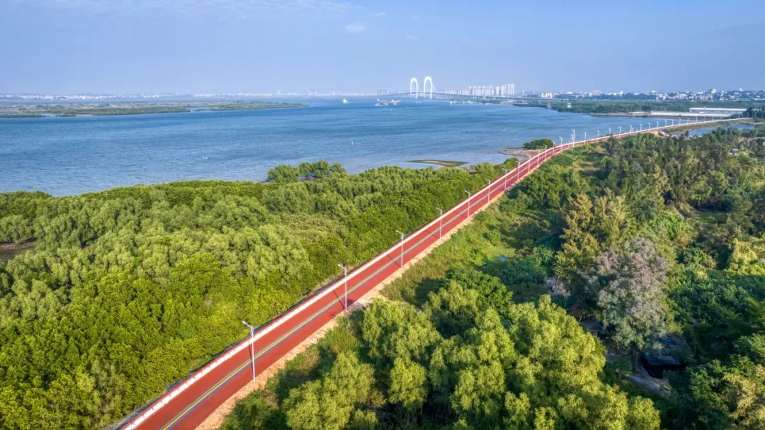 茂名水东湾是中国大陆岸线最大的生态潟湖和城市内湾,从2003年开始