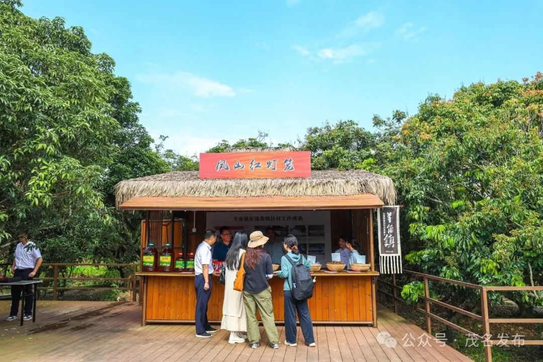 荔枝之乡 向新而行 | 茂南区积极开展荔枝营销系列
