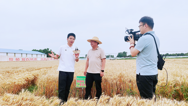 走进位于陕西省咸阳市泾阳县云阳镇的西北农林科技大学斗口农作物试验