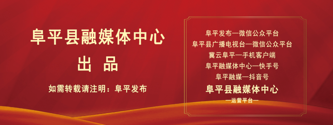 河北阜平:王林口镇林下溜达鸡 溜出生态致富路