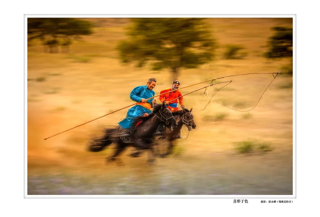 "草原神骏阿巴嘎"黑马摄影挑战赛获奖作品欣赏