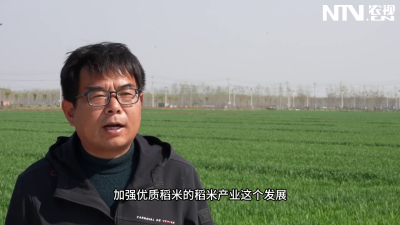 探秘宿迁宿豫区农业试验田基地：农业科技的创新摇篮