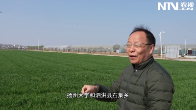 石集乡高标准农田：农业发展的新引擎