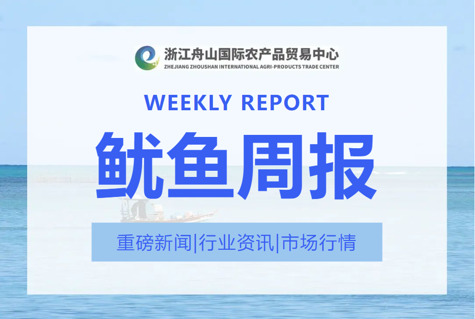 第23周鱿鱼周报|鱿鱼价格陷分化震荡：大规格紧俏 小规格承压