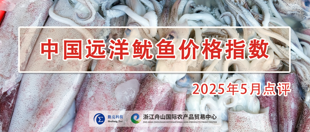 2025年5月中国远洋鱿鱼价格指数从高位小幅回调