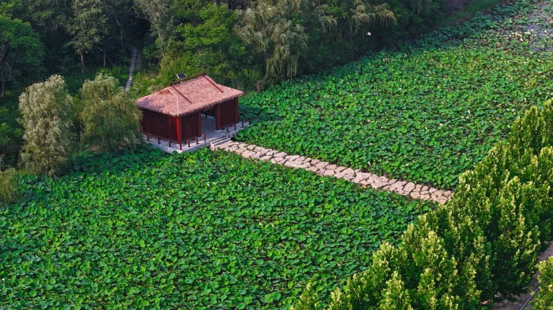 DJI_20250616162344_0430_D.JPG