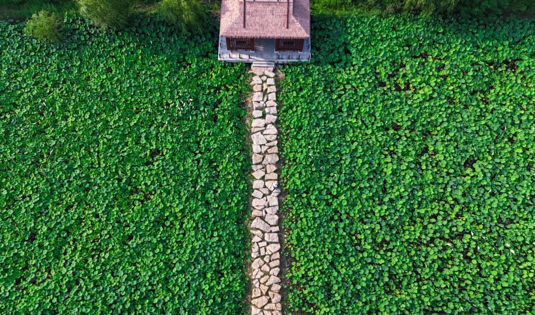 DJI_20250616162744_0439_D.JPG