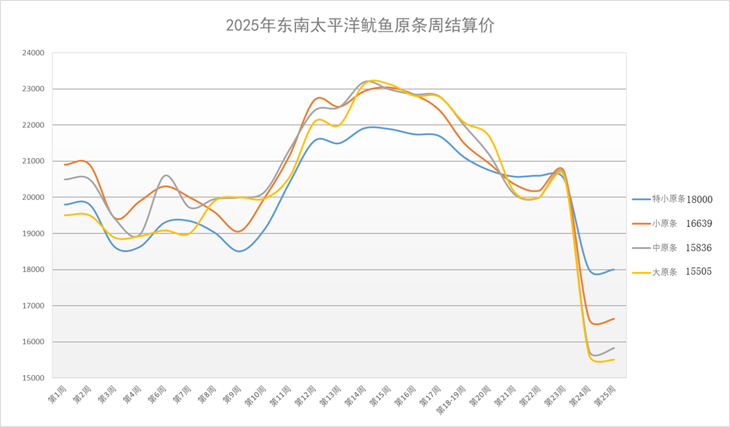 第25周鱿鱼周报|鱿鱼价格陷