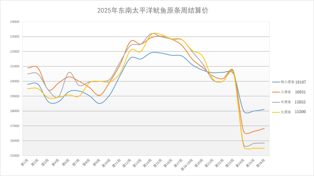 第26周鱿鱼周报|止跌企稳 价格走势维持震荡