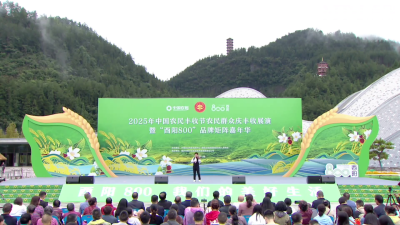 2025年中国农民丰收节农民群众庆丰收展演（酉阳会场）小提琴《如愿》