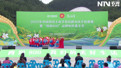 2025年中国农民丰收节农民群众庆丰收展演（酉阳会场）歌曲《有你才有家》