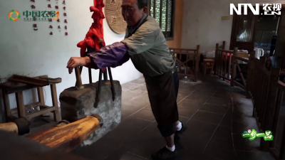 一乡一品——花开茶盛金融路 油润乡村振兴情