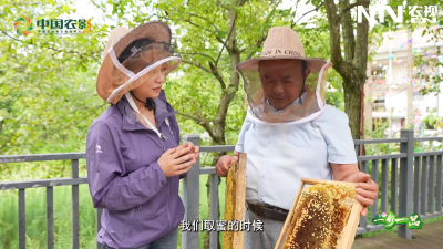 一乡一品——好山好水出凤凰 金融助力甜似蜜