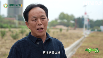 一乡一品——“液体黄金”山茶油