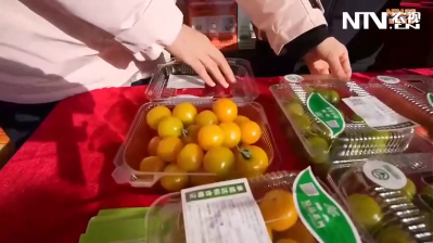 2026农民春晚年货大集——北京绿奥蔬菜