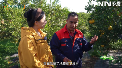 一乡一品·新会陈皮—— 新宝堂百年老字号的守正创新密码