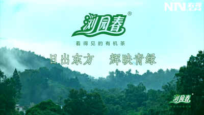 浏园春茶