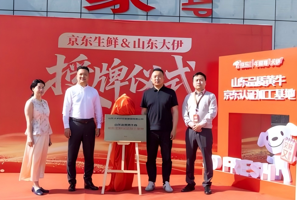 山东阳信：10000头黄牛被京东生鲜包销