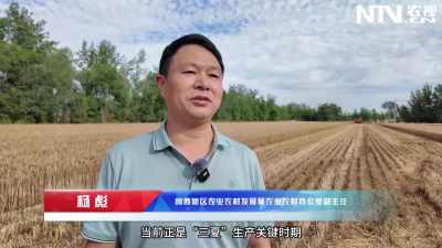 山东菏泽鲁西新区：全力以赴备“三夏” 多措并举保丰收