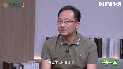 一乡一品——茶韵满通城 九井峰飘香