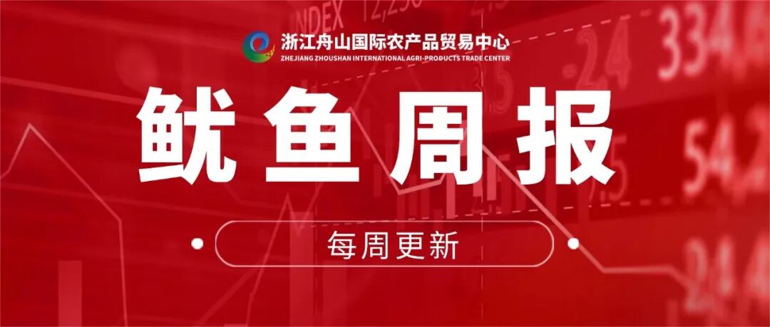 第34周鱿鱼周报|远洋鱿鱼价格低位企稳，市场供需维持弱平衡