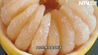名特优新我代言——文旦柚